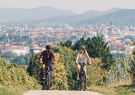 Radeln entlang der Reben bei Freiburg (Schwarzwald Tourismus) Radeln entlang der Reben bei Freiburg